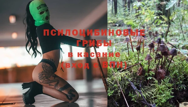 меф Снежинск