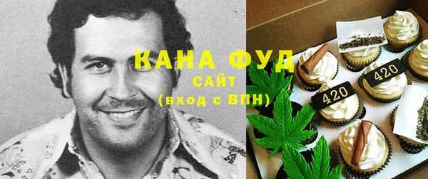 меф Снежинск