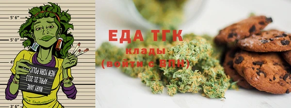 меф Снежинск