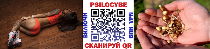 Псилоцибиновые грибы мухоморы Углич